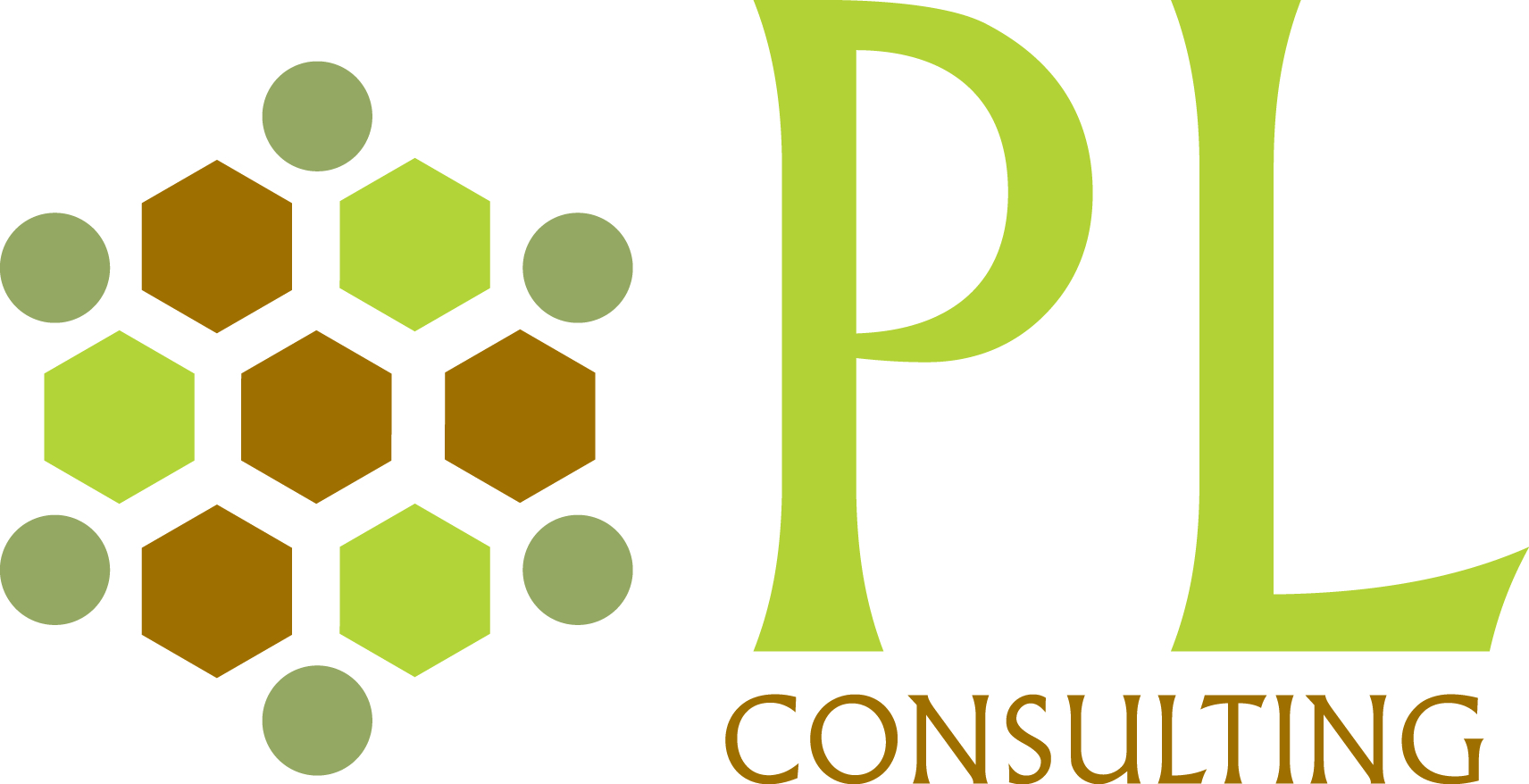 PL Consulting